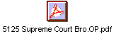 5125 Supreme Court Bro.OP.pdf